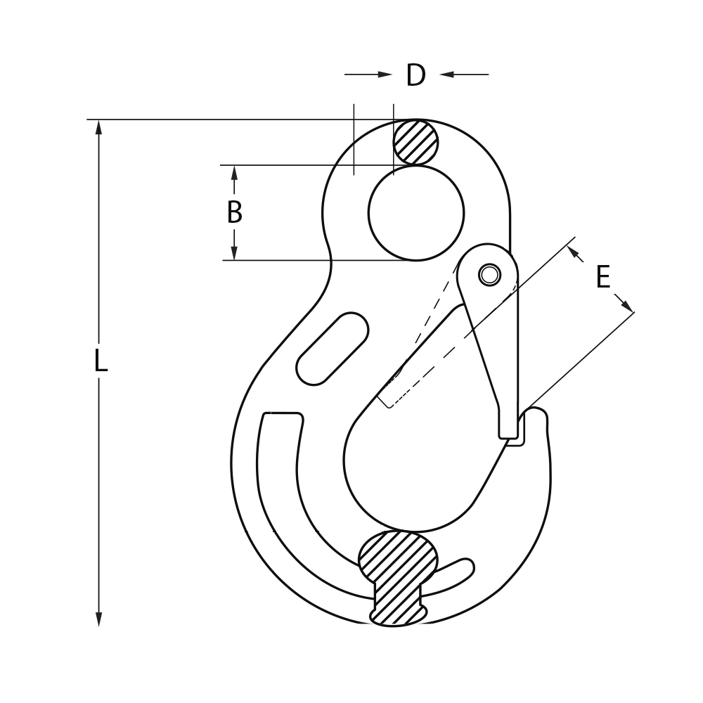 eye slip hook with latch 2